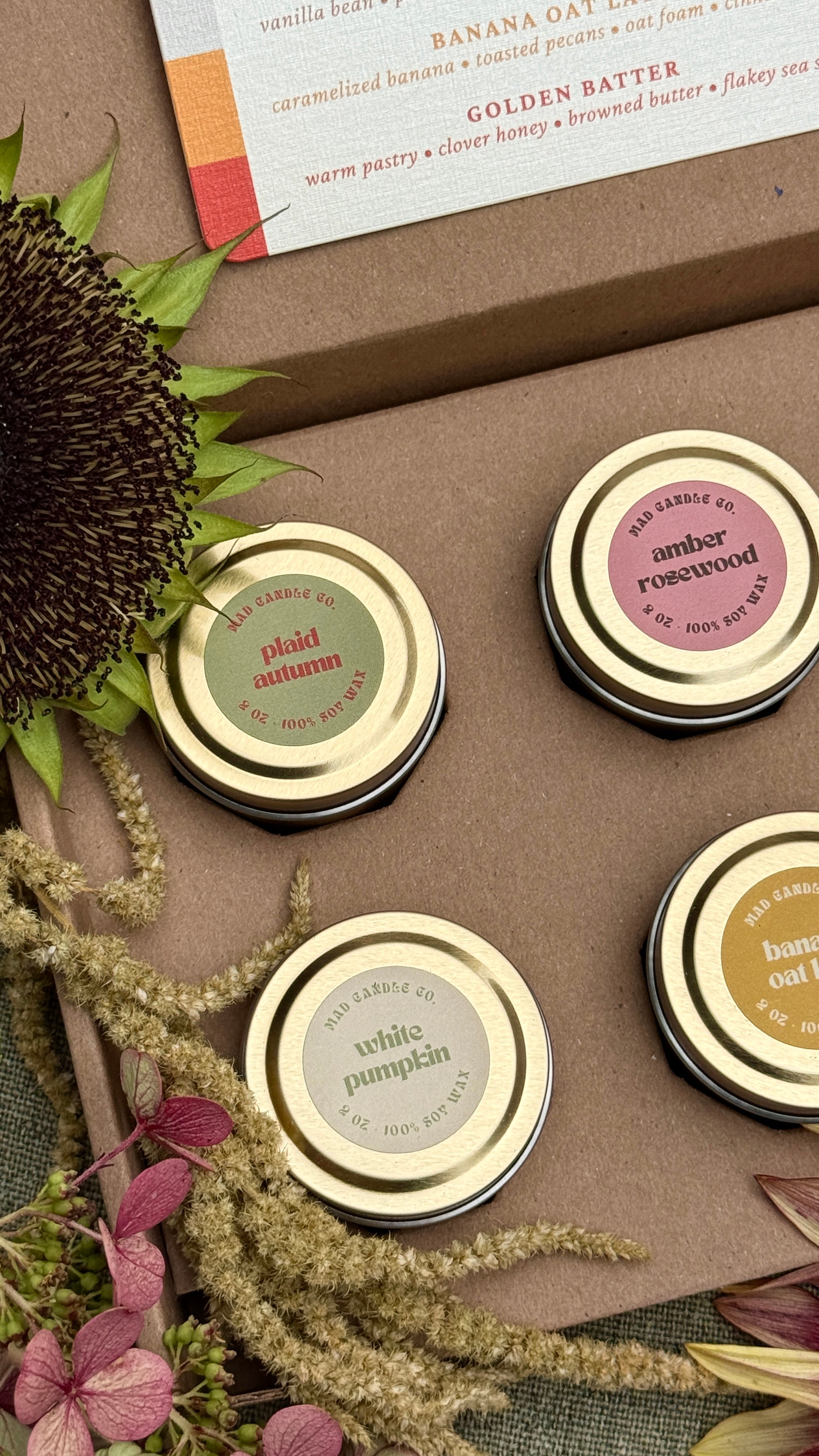 Fall Discovery Box – Limited Edition
