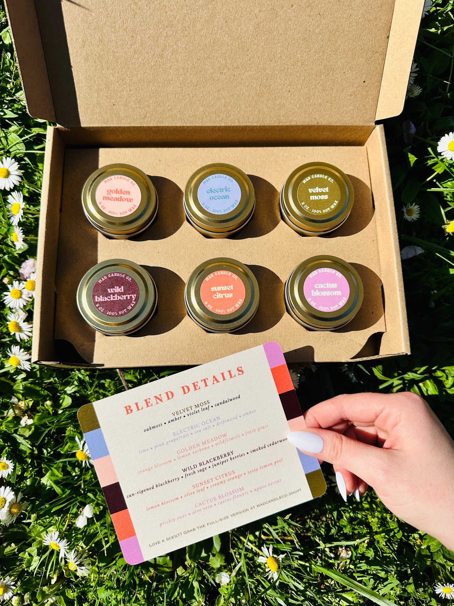 25' Summer Discovery Box - Limited Edition