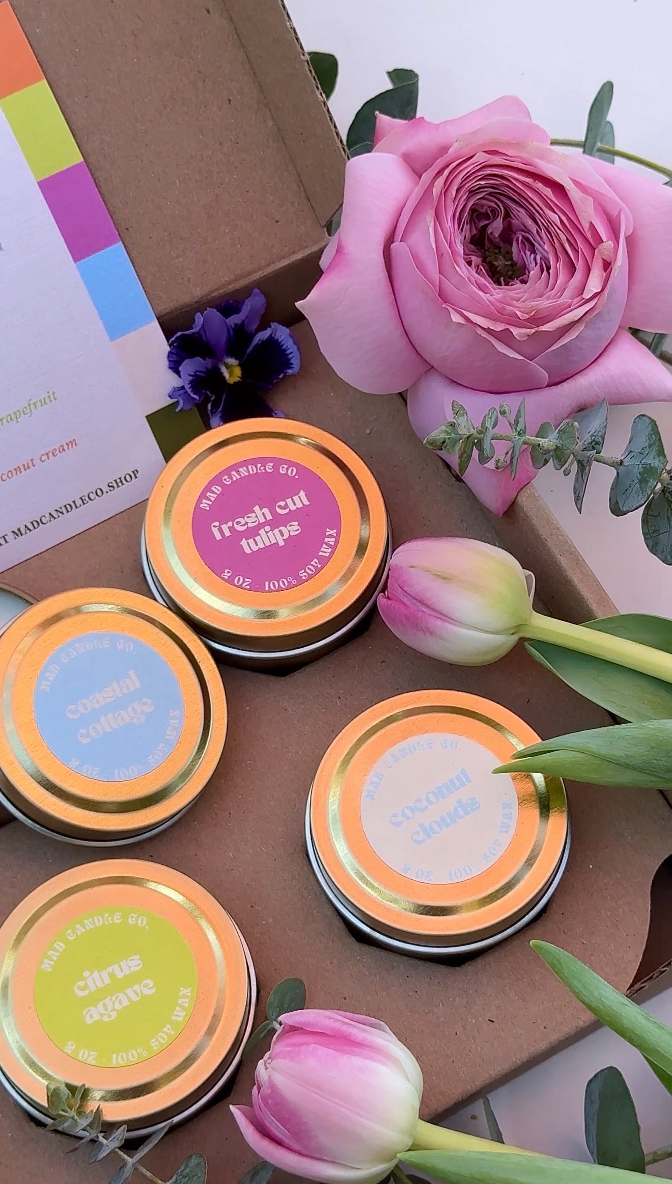 Spring Discovery Box – Limited Edition