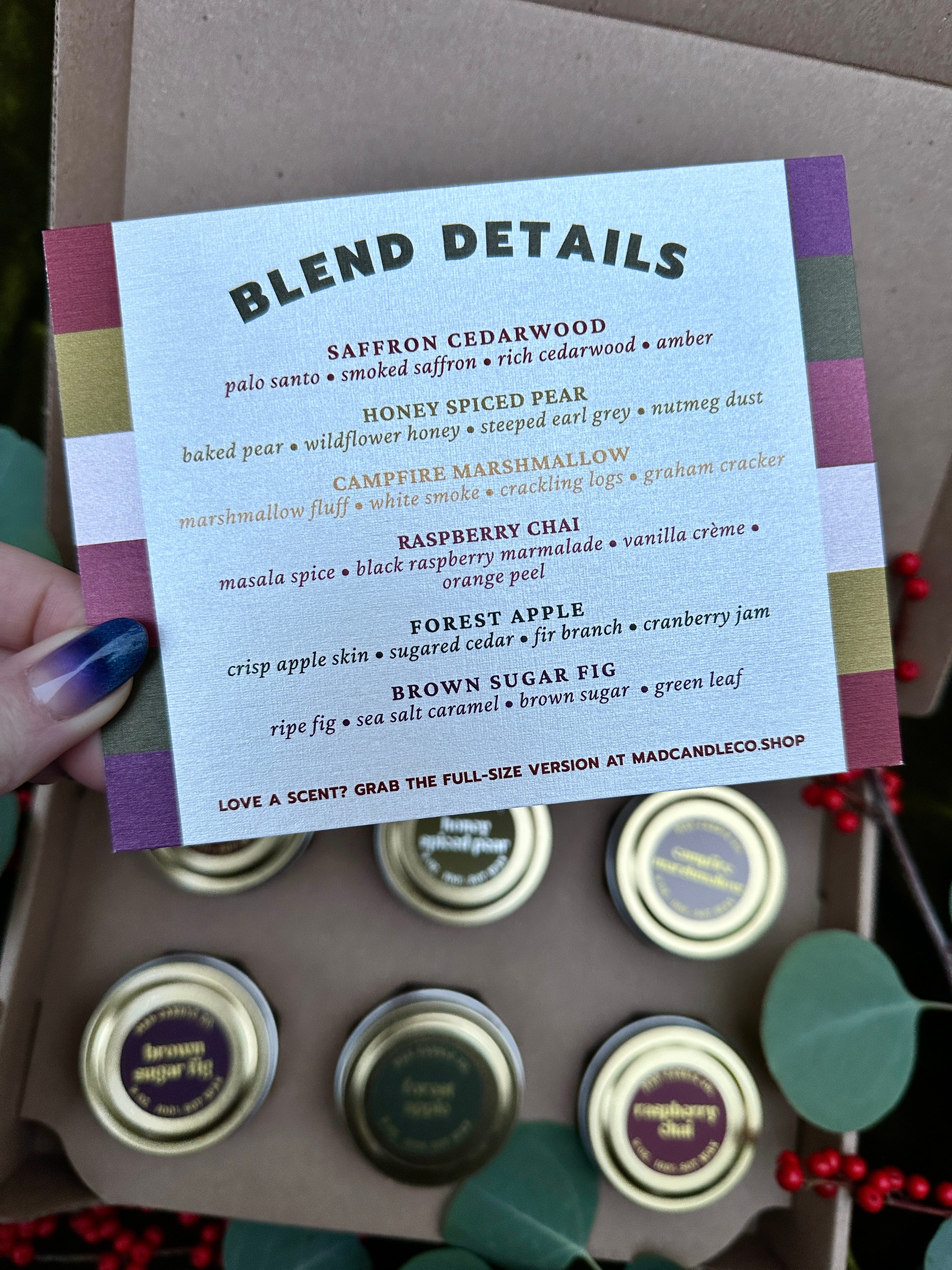 Winter Discovery Box – Limited Edition